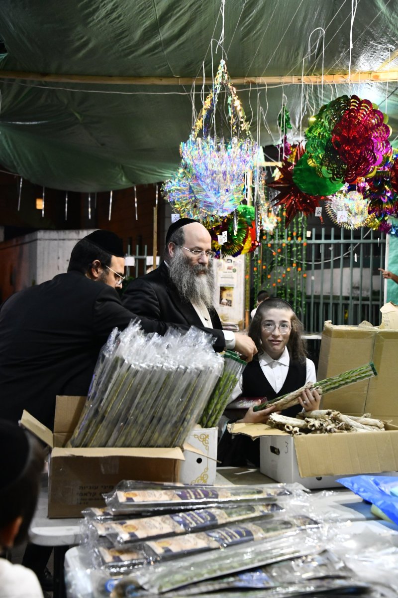 שוקי לרר
