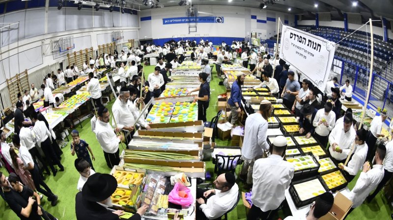 שוקי לרר