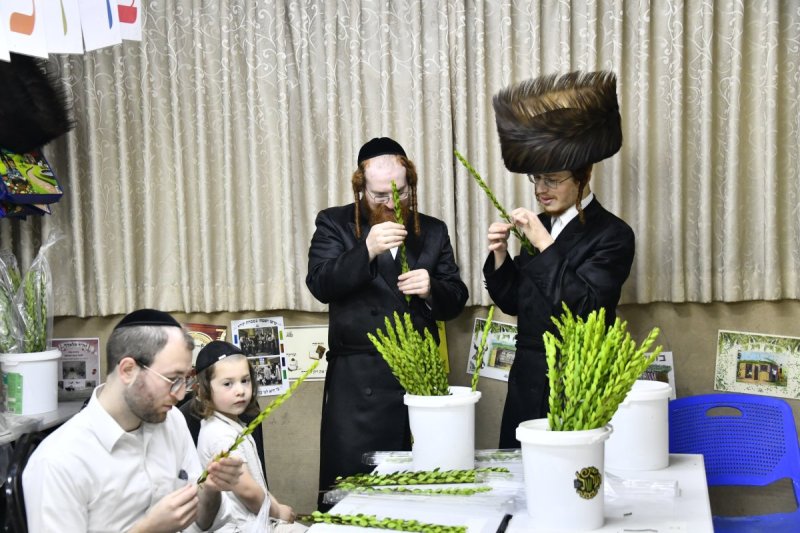 שוקי לרר