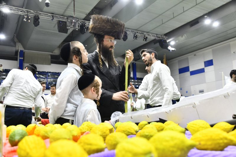 שוקי לרר