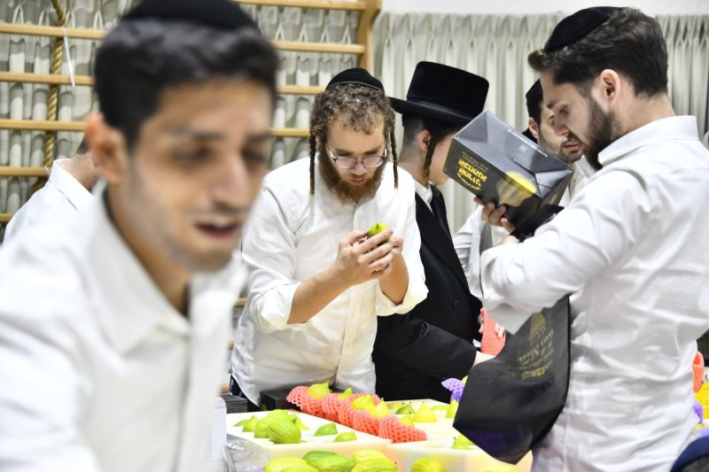 שוקי לרר