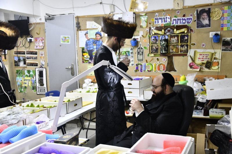 שוקי לרר