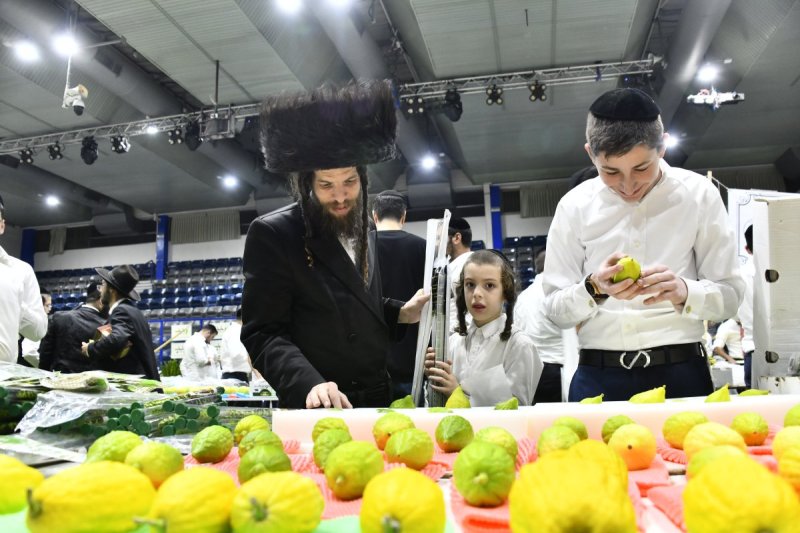 שוקי לרר