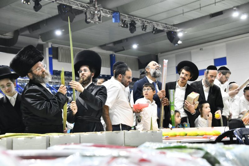 שוקי לרר