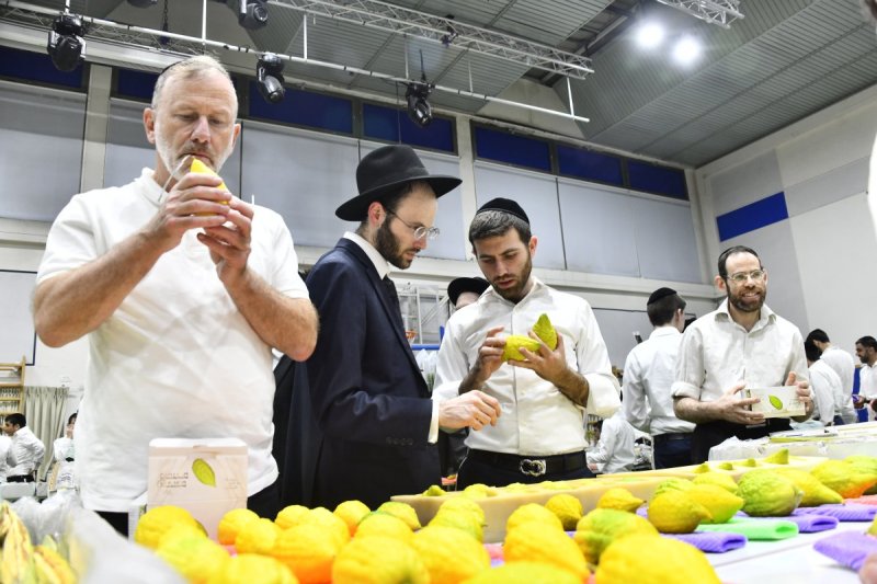 שוקי לרר