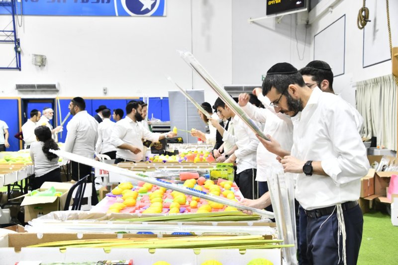 שוקי לרר