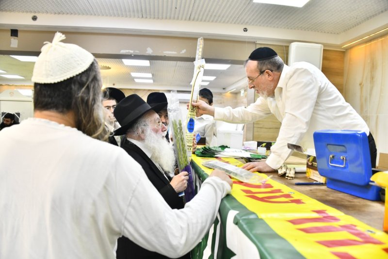 שוקי לרר