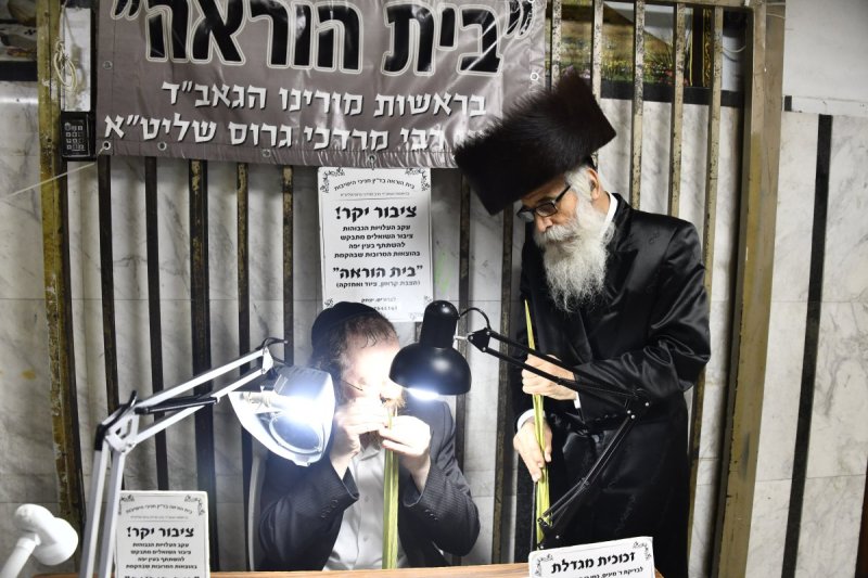 שוקי לרר
