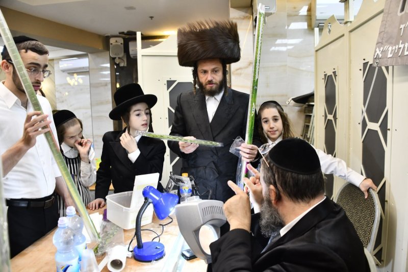 שוקי לרר
