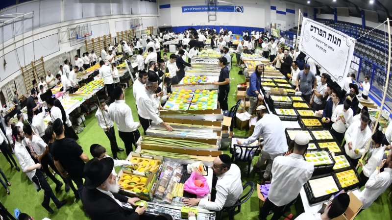 שוקי לרר