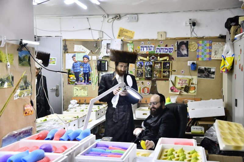 שוקי לרר