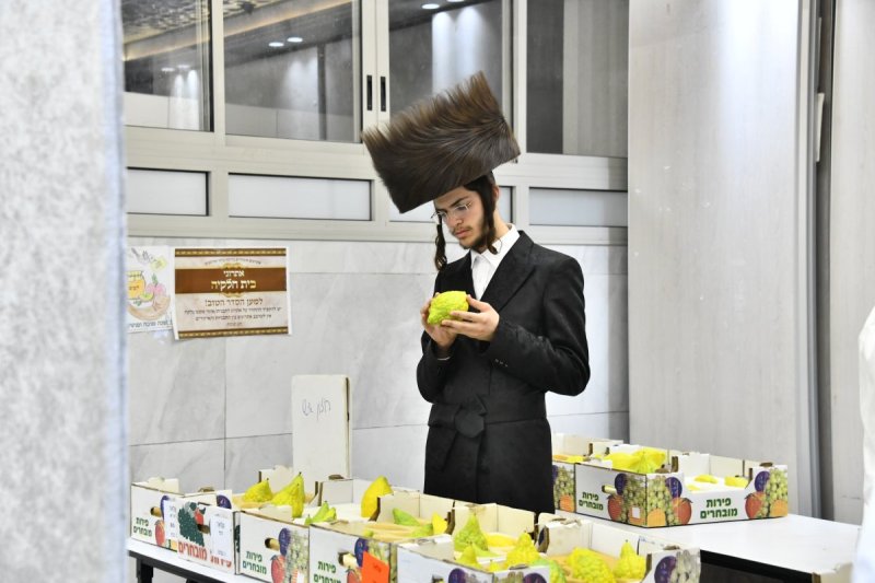 שוקי לרר