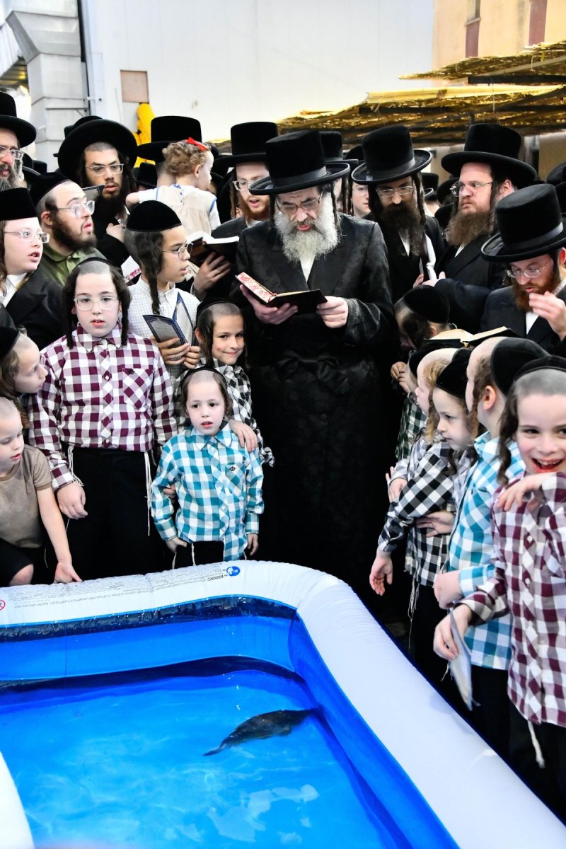 שוקי לרר