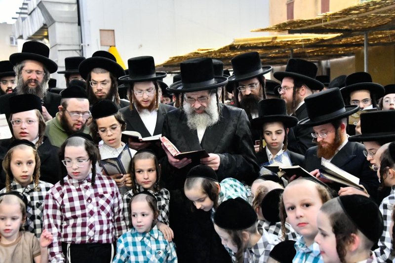 שוקי לרר
