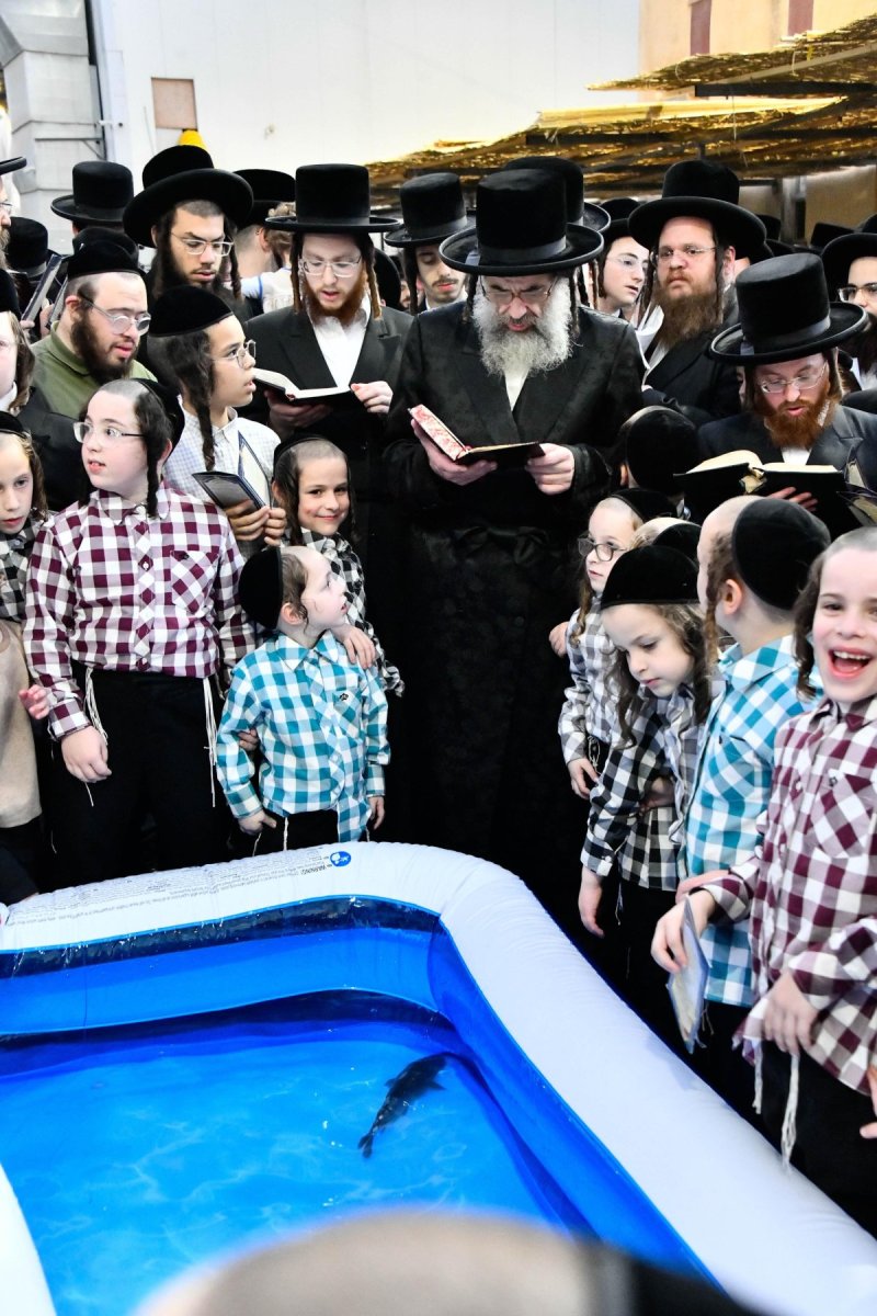 שוקי לרר