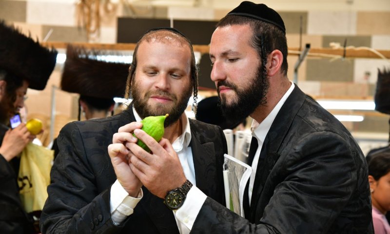 ולקחתם לכם: האשדודים הסתערו על השוק ורכשו בחביבות ד' מינים