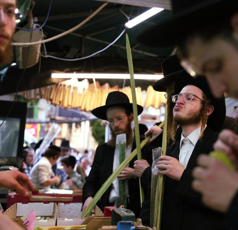 נתי פרל