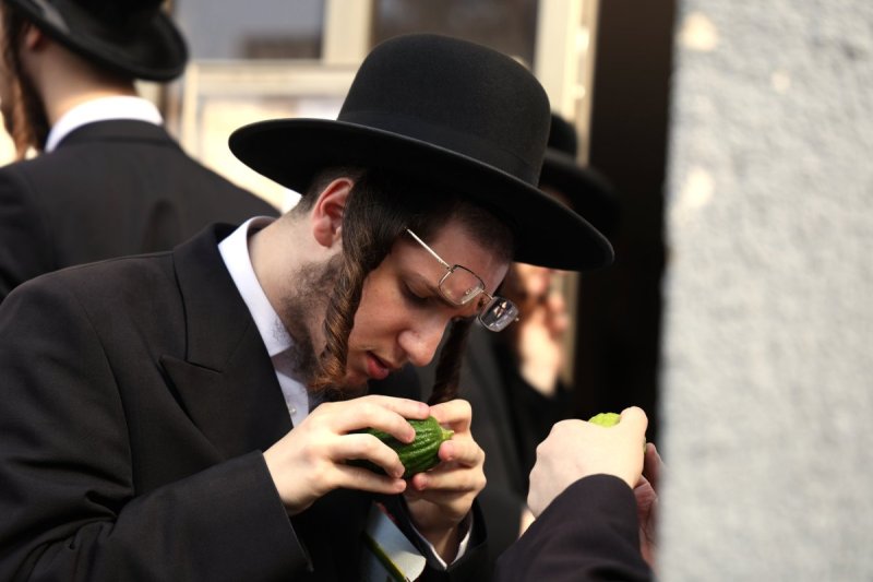 נתי פרל