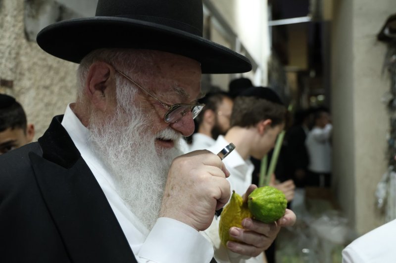 נתי פרל