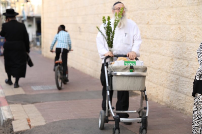 נתי פרל