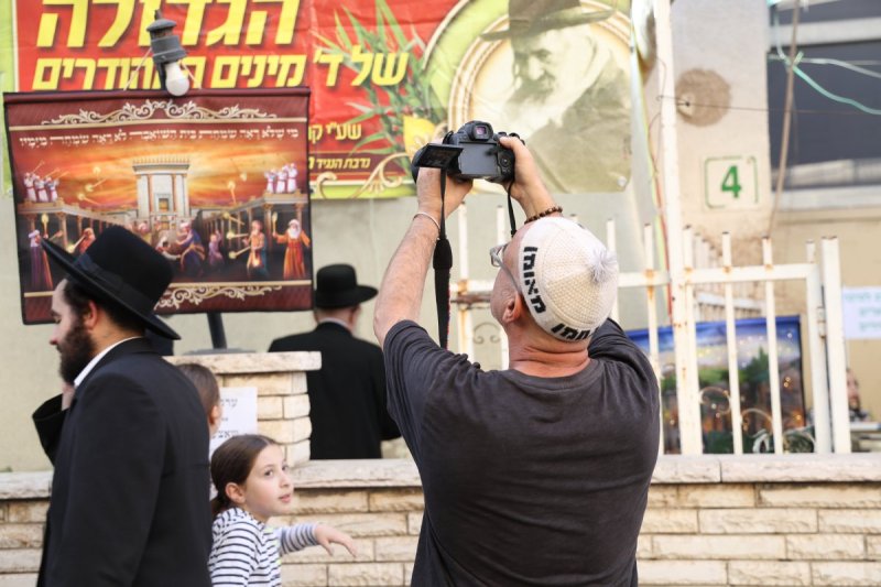 נתי פרל