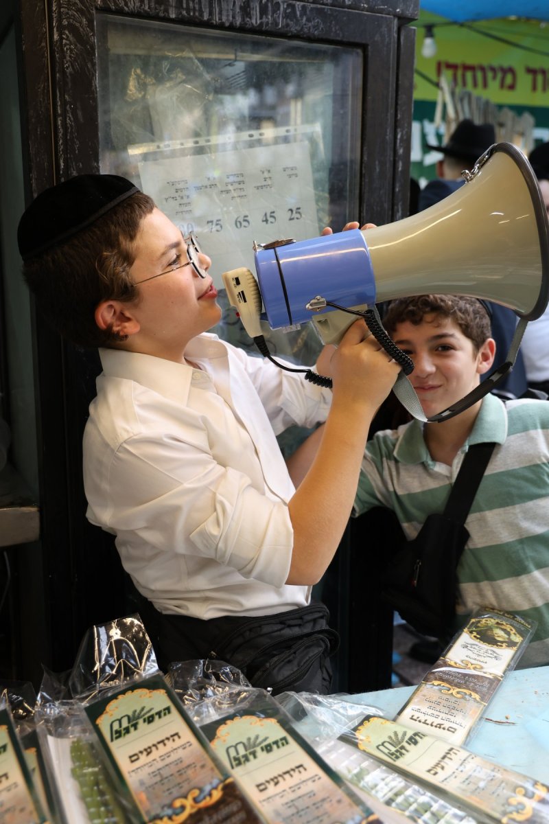 נתי פרל