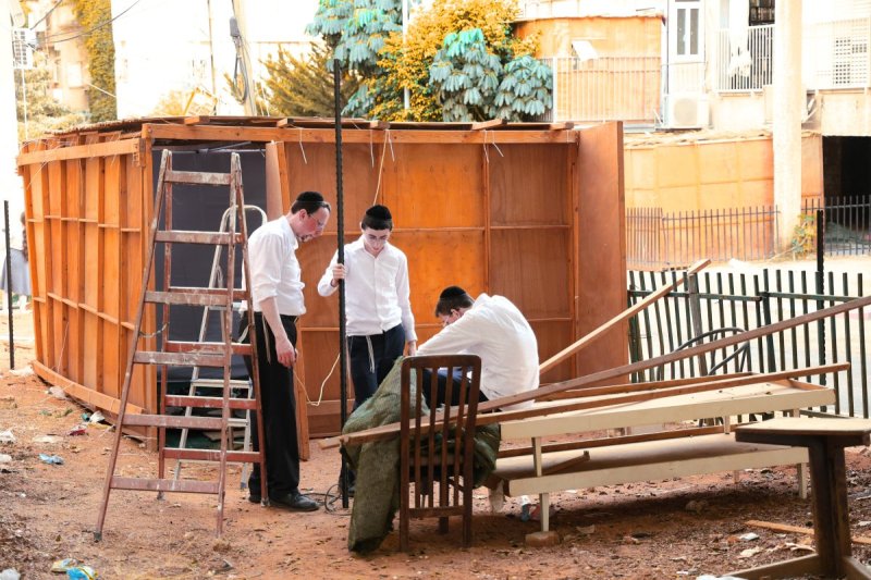 נתי פרל