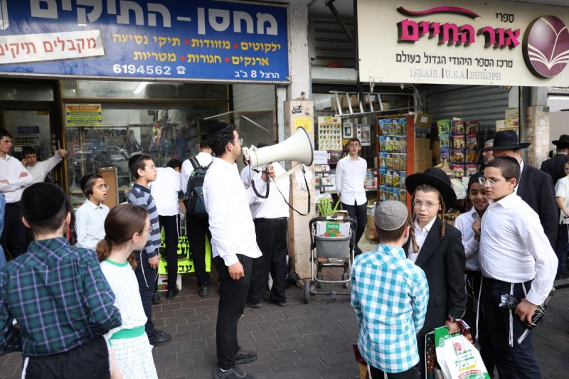 נתי פרל