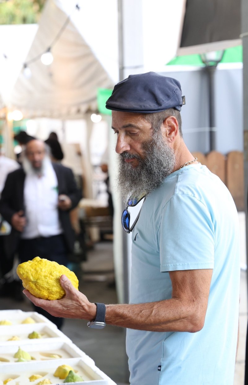 נתי פרל