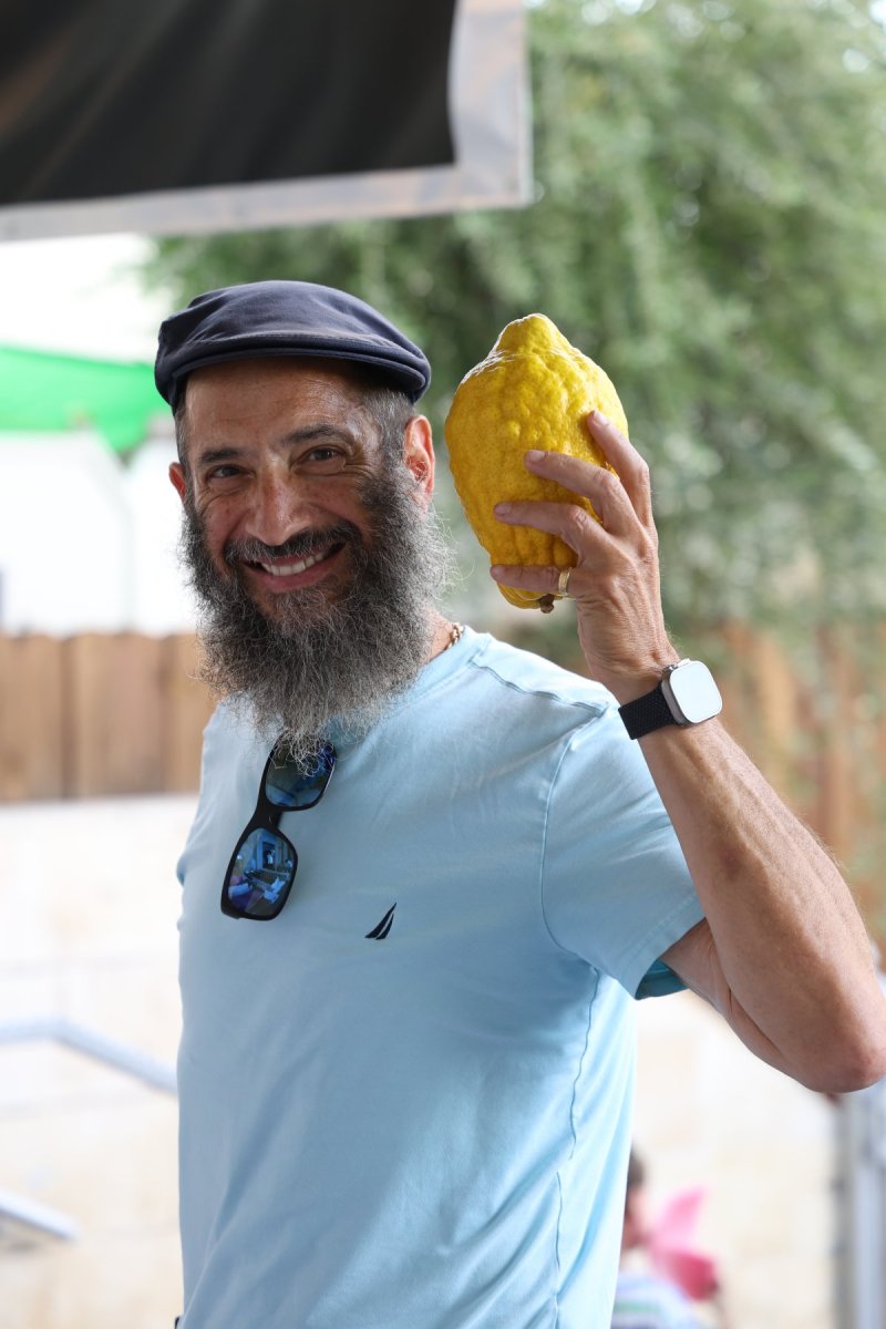 נתי פרל