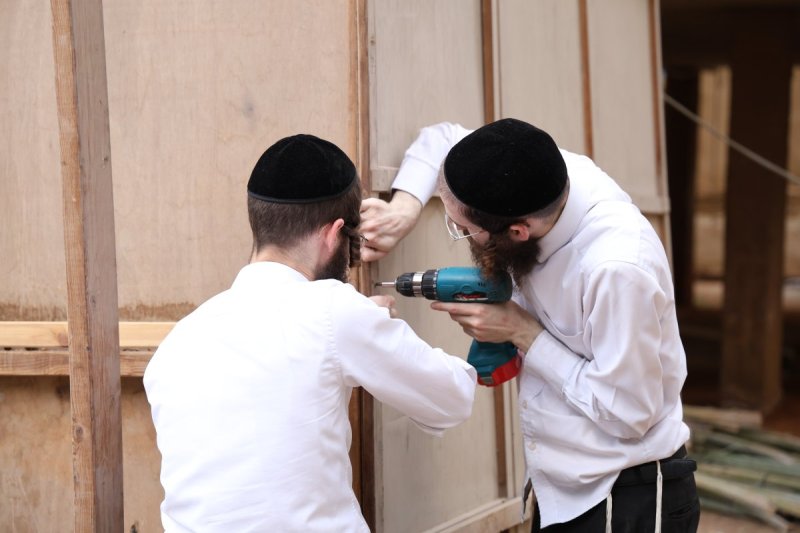 נתי פרל