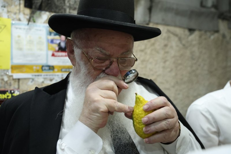 נתי פרל