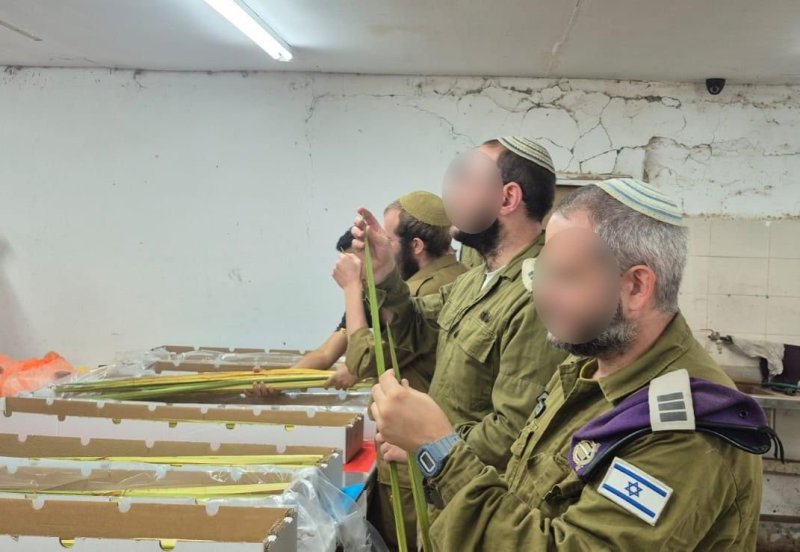 דובר צה"ל