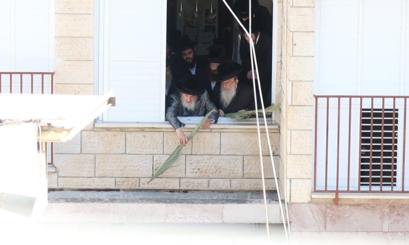 ערב החג: האדמו"ר מויז'ניץ יצא לחלון וסיכך את הסוכה | תיעוד