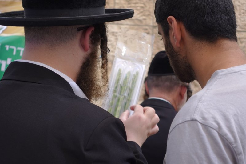 שמעון ל.