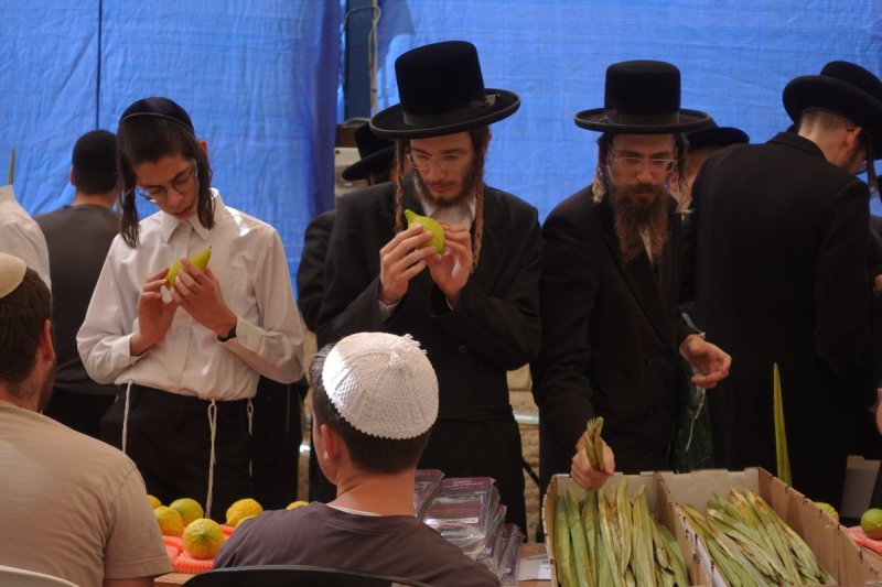 שמעון ל.