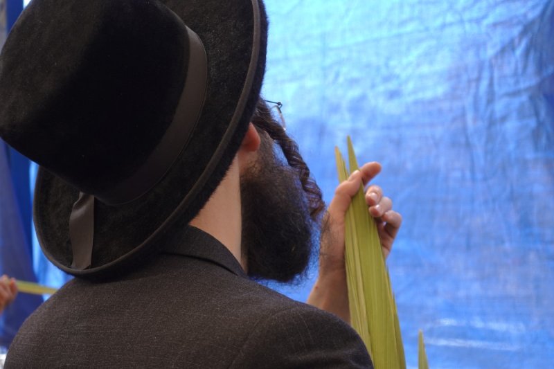 שמעון ל.