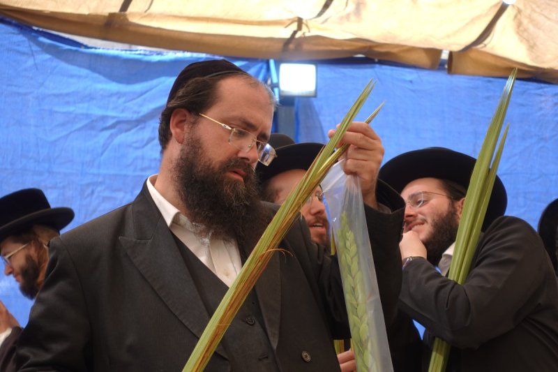 שמעון ל.