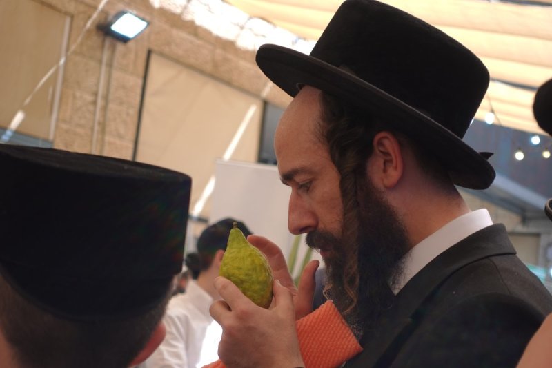 שמעון ל.
