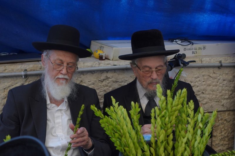 שמעון ל.