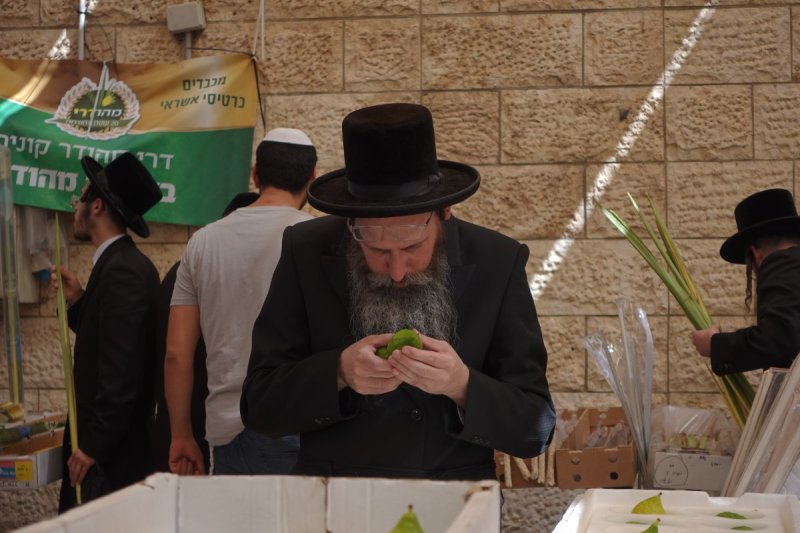 שמעון ל.