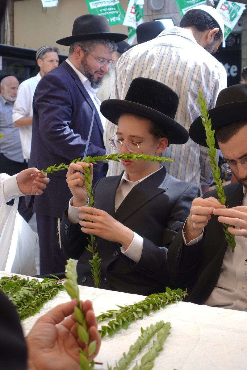 שמעון ל.