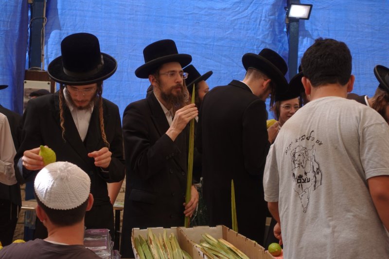 שמעון ל.