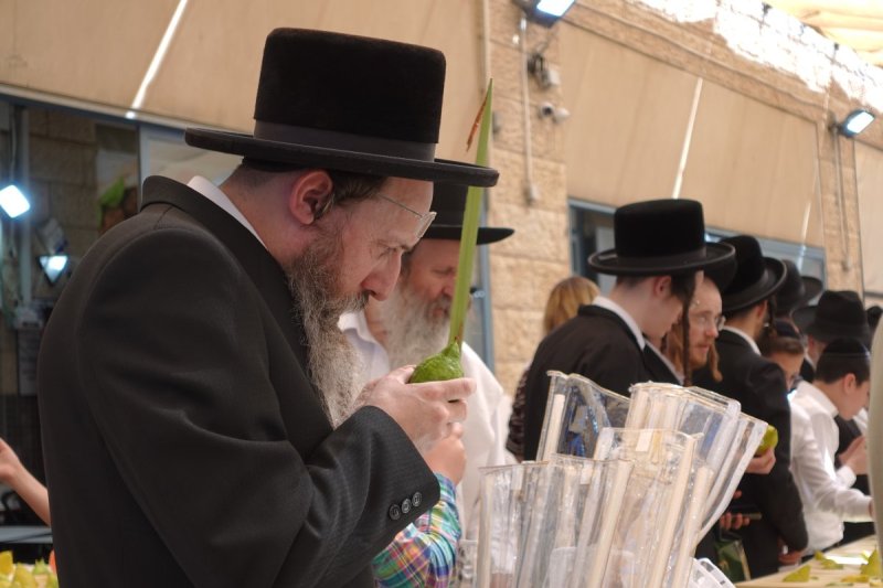 שמעון ל.