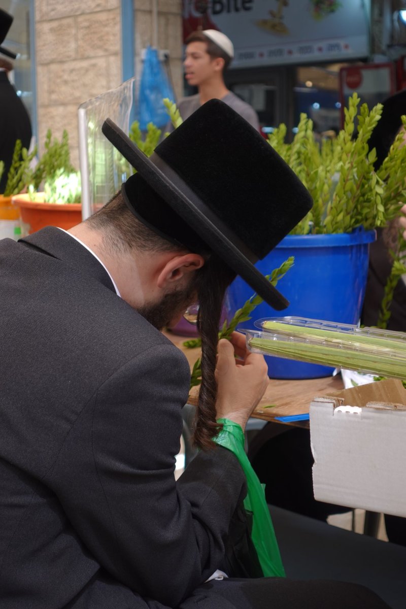 שמעון ל.