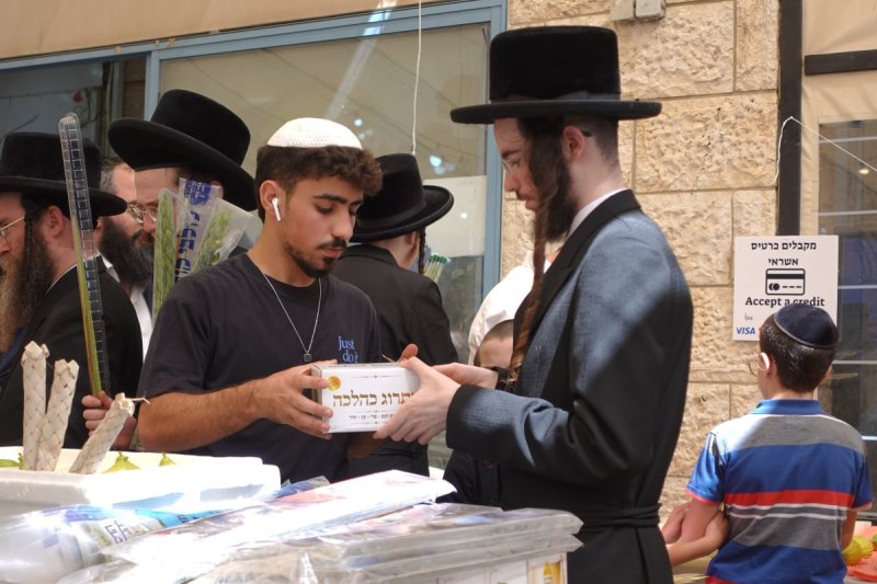 שמעון ל.