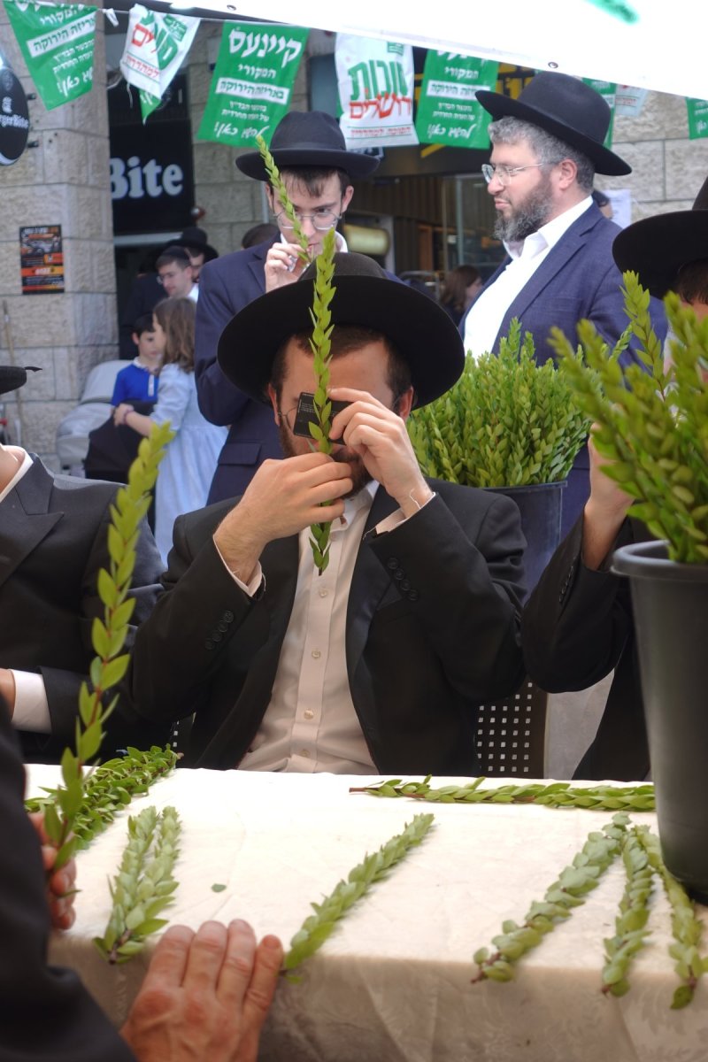 שמעון ל.