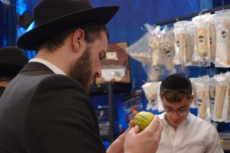 שמעון ל.