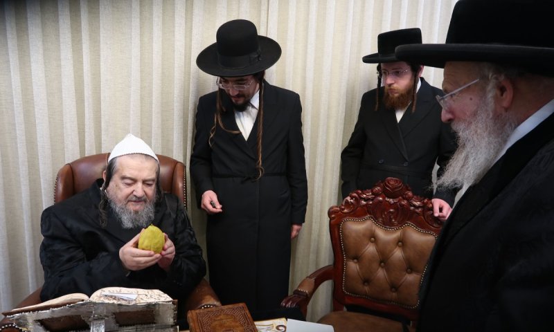 האדמו"ר העניק לחברותא פאר הדור אתרוג מהודר ומפואר