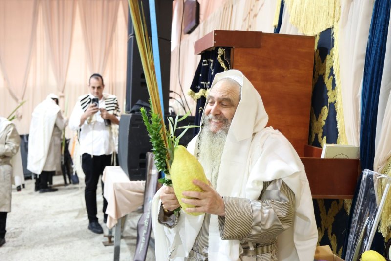 דוד ארזני